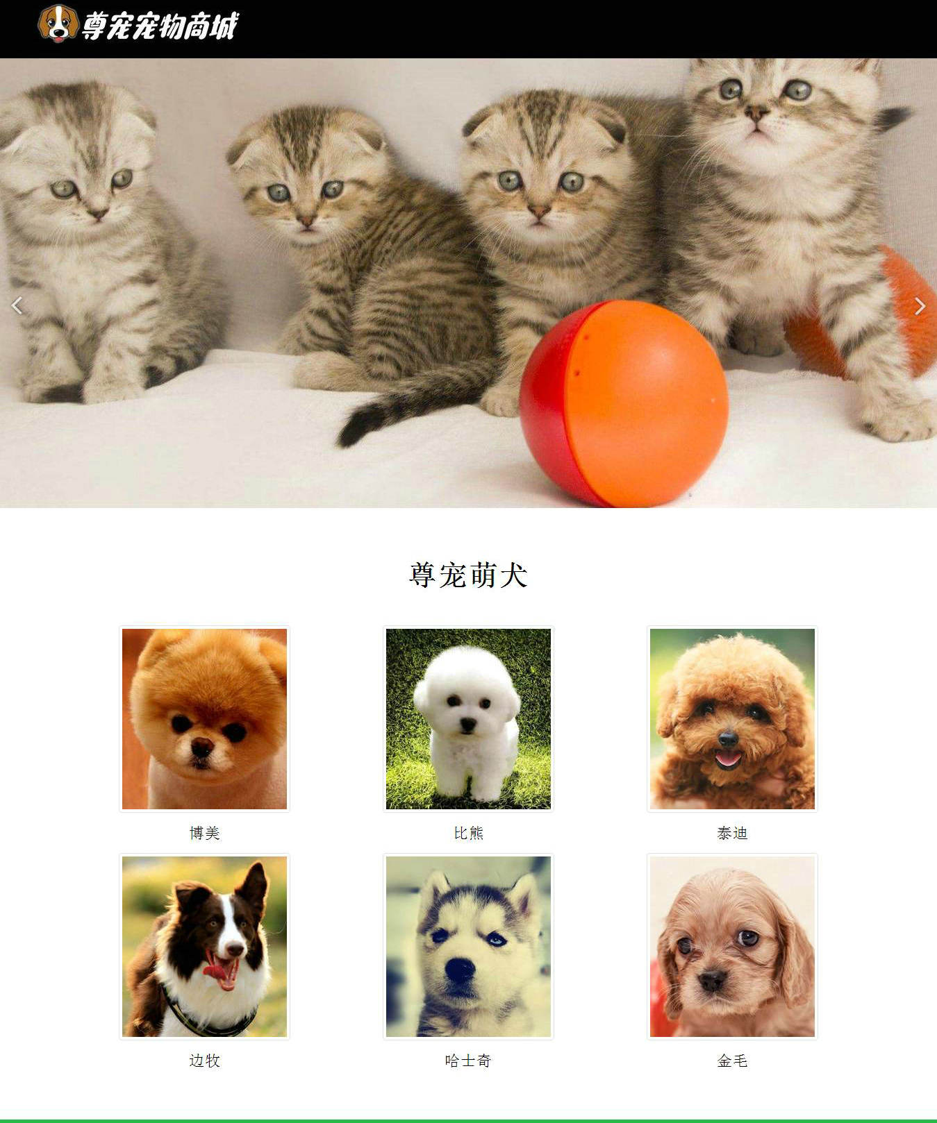 编号：669 尊宠宠物商城 1页 鼠标经过特效 图片滚动 CSS布局 30元