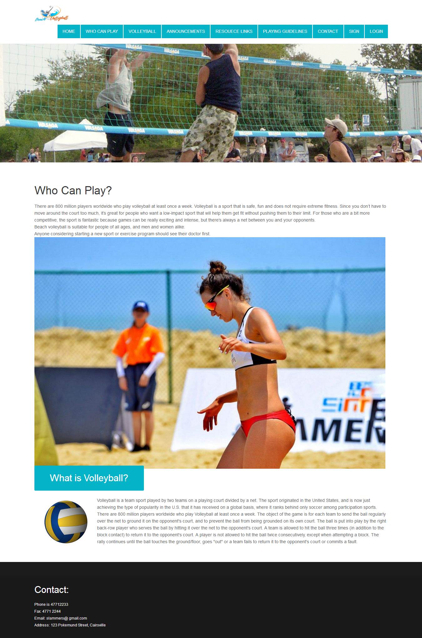 编号：696 沙滩排球 9页 注册登录表单 HTML5 CSS布局 80元